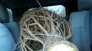 2011-12-03_15-23-42_971